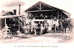 3038- Rouiba - Ecole d'Agriculture - Vinification